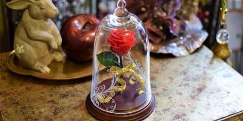 千葉、幕張店で人気のガラスドームに入ったプリザーブドフラワーの赤バラ|女性に人気のプレゼント