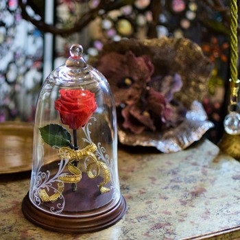 ディズニーの美女と野獣好きに人気のガラスドーム入りプリザーブドの赤バラ、全景