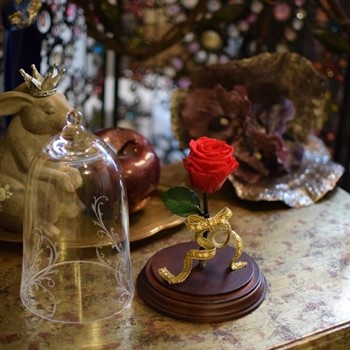 ディズニーの美女と野獣好きに人気のガラスドーム入りプリザーブドの赤バラ、ガラスオフ